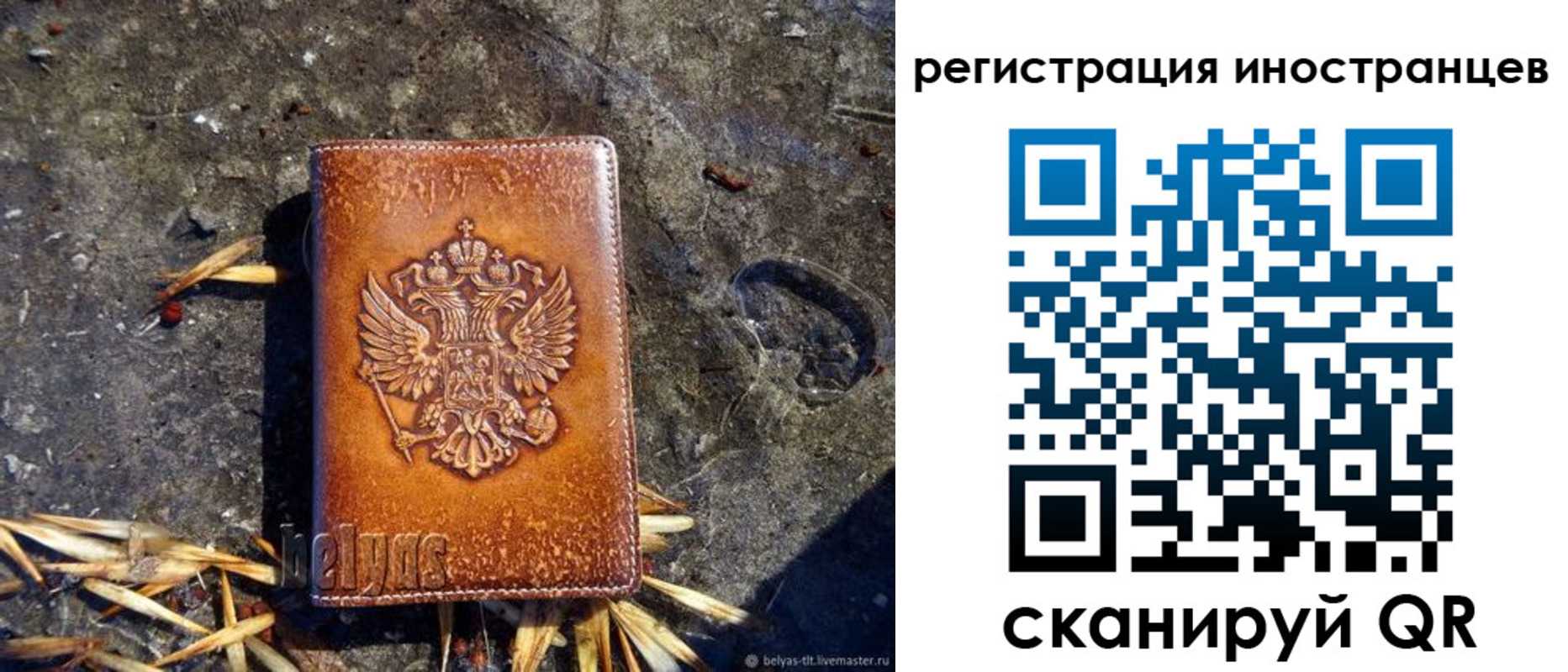 прописка регистрация в Зернограде